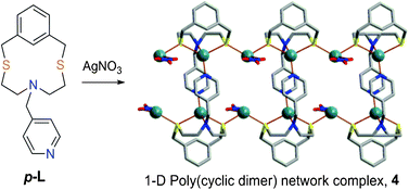 Graphical abstract: Macrocycles incorporating isomeric arms: synthesis and crystal structures of ligands and their mono-, di- and polynuclear supramolecular complexes