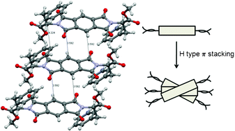 Graphical abstract: Insights into H-aggregates and CH⋯O hydrogen bond mediated self-assembly of pyromellitic bisimide