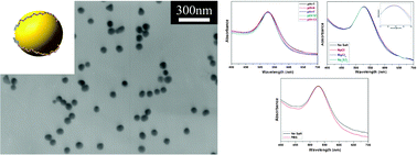 Graphical abstract: The high yield synthesis and characterization of gold nanoparticles with superior stability and their catalytic activity