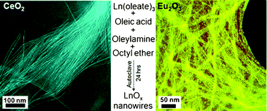 Graphical abstract: Self-assembly of ultra-thin lanthanide oxide nanowires via surfactant-mediated imperfect oriented attachment of nanoparticles