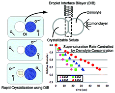 Graphical abstract: Tunable crystallization via osmosis-driven transport across a droplet interface bilayer