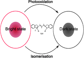 Graphical abstract: Identification of a thermally activated process in the Cy3 photobleaching mechanism