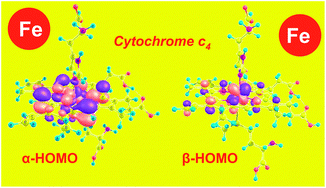 Graphical abstract: Modeling and computations of the intramolecular electron transfer process in the two-heme protein cytochrome c4