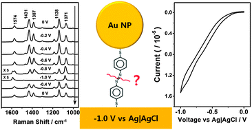 Graphical abstract: Surface-enhanced Raman scattering of 4,4′-dimercaptoazobenzene trapped in Au nanogaps
