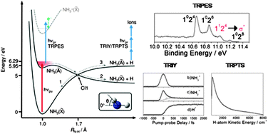 Graphical abstract: Observation of ultrafast NH3 (Ã) state relaxation dynamics using a combination of time-resolved photoelectron spectroscopy and photoproduct detection
