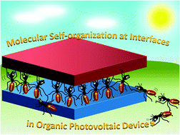 Graphical abstract: Interfacial modification of organic photovoltaic devices by molecular self-organization