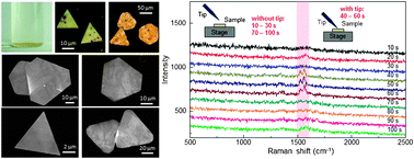 Graphical abstract: Micrometer-sized gold nanoplates: starch-mediated photochemical reduction synthesis and possibility of application to tip-enhanced Raman scattering (TERS)