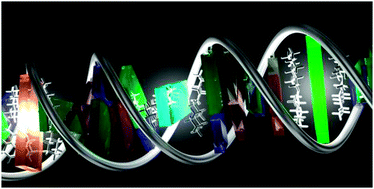 Graphical abstract: Preparation of supramolecular chromophoric assemblies using a DNA duplex
