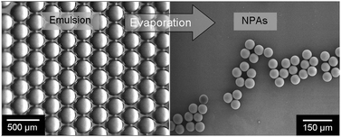 Graphical abstract: Monodisperse titania microspheres via controlled nanoparticle aggregation