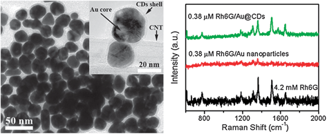 Graphical abstract: Synthesis of gold@carbon dots composite nanoparticles for surface enhanced Raman scattering