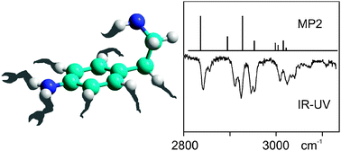 Graphical abstract: A sting in the tail of flexible molecules: spectroscopic and energetic challenges in the case of p-aminophenethylamine