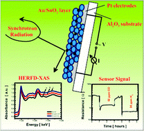 Graphical abstract: An Au clusters related spill-over sensitization mechanism in SnO2-based gas sensors identified by operando HERFD-XAS, work function changes, DC resistance and catalytic conversion studies