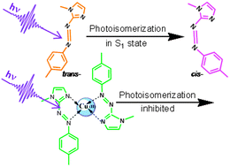 Graphical abstract: Photoisomerization dynamics of N-1-methyl-2-(tolylazo) imidazole and the effect of complexation with Cu(ii)