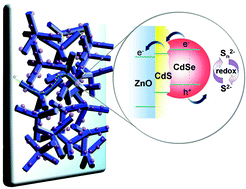Graphical abstract: High-efficiency cascade CdS/CdSe quantum dot-sensitized solar cells based on hierarchical tetrapod-like ZnO nanoparticles