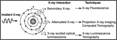 Graphical abstract: Advances in functional X-ray imaging techniques and contrast agents