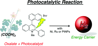 Graphical abstract: Photocatalytic hydrogen evolution from carbon-neutral oxalate with 2-phenyl-4-(1-naphthyl)quinolinium ion and metal nanoparticles
