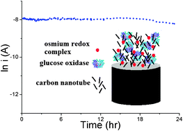 Graphical abstract: Crosslinked redox polymer enzyme electrodes containing carbon nanotubes for high and stable glucose oxidation current