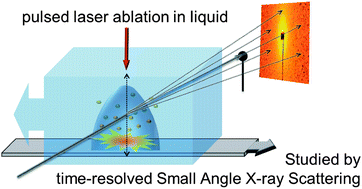 Graphical abstract: Dynamics of silver nanoparticle formation and agglomeration inside the cavitation bubble after pulsed laser ablation in liquid