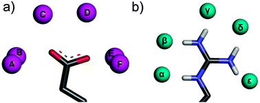 Graphical abstract: Application of inhomogeneous fluid solvation theory to model the distribution and thermodynamics of water molecules around biomolecules