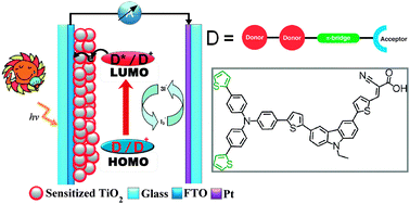 Graphical abstract: D-D-π-A organic dyes containing 4,4′-di(2-thienyl)triphenylamine moiety for efficient dye-sensitized solar cells