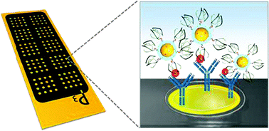 Graphical abstract: SERS-based immunoassay of tumor marker VEGF using DNA aptamers and silica-encapsulated hollow gold nanospheres