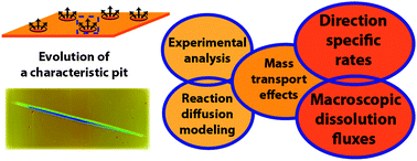 Graphical abstract: Holistic approach to dissolution kinetics: linking direction-specific microscopic fluxes, local mass transport effects and global macroscopic rates from gypsum etch pit analysis