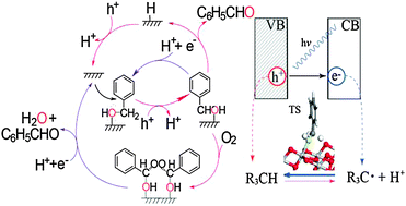 Graphical abstract: Dual reaction channels for photocatalytic oxidation of phenylmethanol on anatase