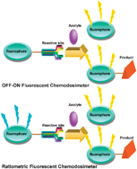 Graphical abstract: Fluorescent chemodosimeters using “mild” chemical events for the detection of small anions and cations in biological and environmental media