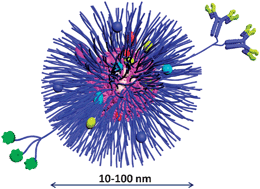 Graphical abstract: Design of polymeric nanoparticles for biomedical delivery applications