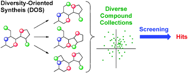Graphical abstract: Diversity-oriented synthesis: producing chemical tools for dissecting biology