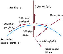Graphical abstract: Quantifying trace gas uptake to tropospheric aerosol: recent advances and remaining challenges