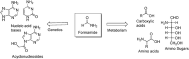 Graphical abstract: Genetics first or metabolism first? The formamide clue