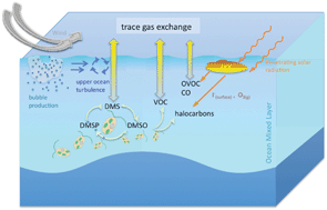Graphical abstract: Ocean-atmosphere trace gas exchange