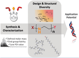 Graphical abstract: Branched and linear poly(ethylene imine)-based conjugates: synthetic modification, characterization, and application
