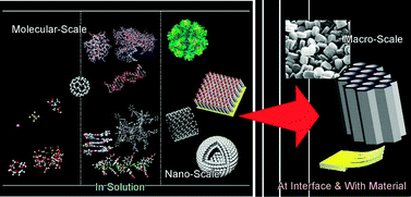 Graphical abstract: Molecular recognition: from solution science to nano/materials technology