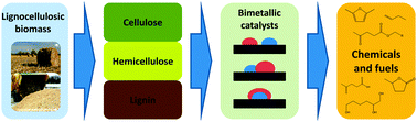 Graphical abstract: Bimetallic catalysts for upgrading of biomass to fuels and chemicals
