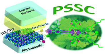 Graphical abstract: Porphyrin-sensitized solar cells