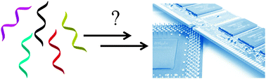 Graphical abstract: DNA nanostructure meets nanofabrication