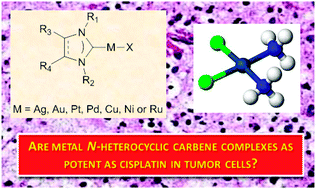 Graphical abstract: Metal N-heterocyclic carbene complexes as potential antitumor metallodrugs