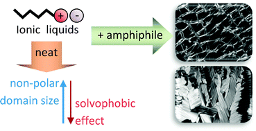 Graphical abstract: Solvent nanostructure, the solvophobic effect and amphiphile self-assembly in ionic liquids