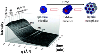 Graphical abstract: Mechanism of self-assembly in the synthesis of silica mesoporous materials: in situ studies by X-ray and neutron scattering