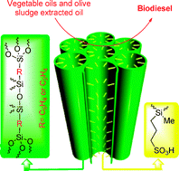 Graphical abstract: Periodic mesoporous organosilica functionalized sulfonic acids as highly efficient and recyclable catalysts in biodiesel production