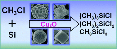 Graphical abstract: Shape-controlled synthesis of Cu2O microparticles and their catalytic performances in the Rochow reaction