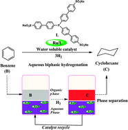 Graphical abstract: Aqueous biphasic hydrogenation of benzene catalyzed by ruthenium complex of trisulfonated tris(biphenyl)phosphine