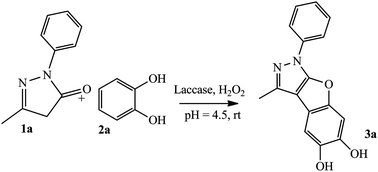 Graphical abstract: Laccase—a natural source for the synthesis of benzofuro[2,3-c]pyrazolin-5-ones