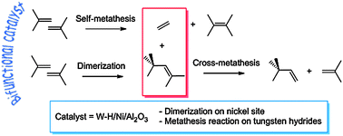 Graphical abstract: Improved direct production of 2,3-dimethylbutenes and 3,3-dimethylbutene from 2-methylpropene on tungsten hydride based catalysts