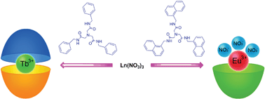 Graphical abstract: Lanthanide complexes assembled from two flexible amide-type tripodal ligands: terminal groups effect on photoluminescence behavior