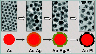 Graphical abstract: Heterogeneous Au–Pt nanostructures with enhanced catalytic activity toward oxygen reduction