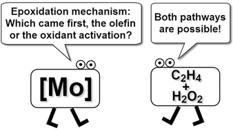 Graphical abstract: New insights into the mechanism of oxodiperoxomolybdenum catalysed olefin epoxidation and the crystal structures of several oxo–peroxo molybdenum complexes
