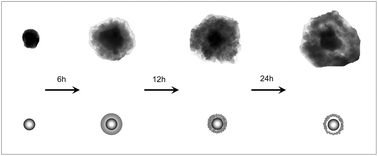 Graphical abstract: Superparamagnetic Ag@Fe3O4 core–shell nanospheres: fabrication, characterization and application as reusable nanocatalysts